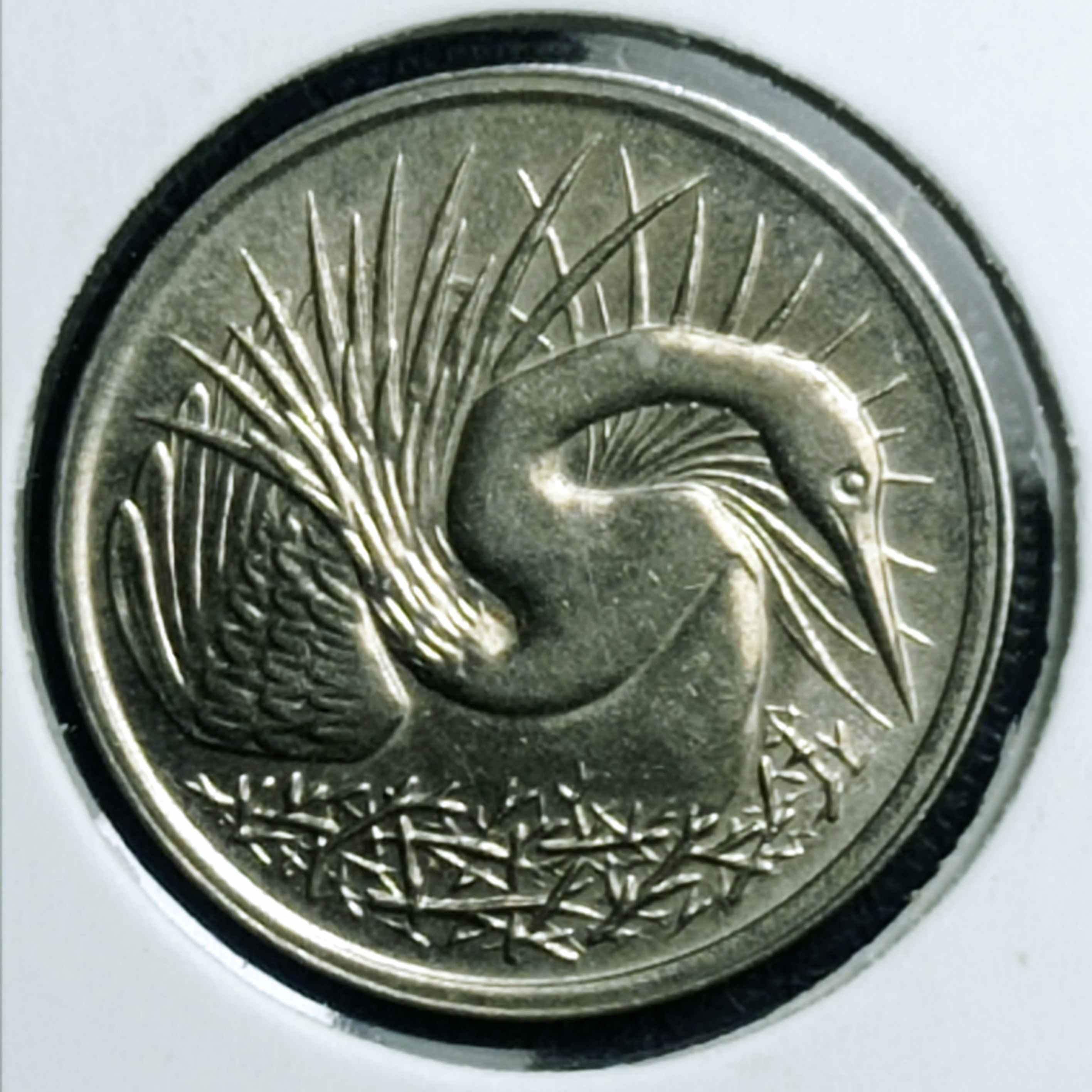 Is-That-An-Error-On-The-Reverse-Of-The-1981-Singapore-5�-Coin?